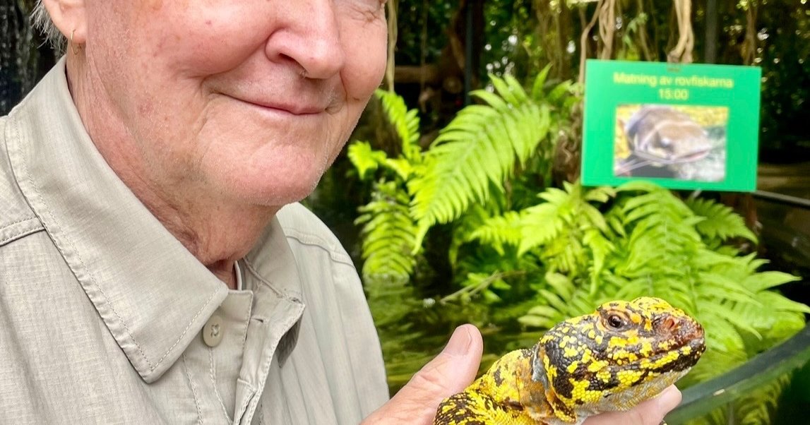 Autumn Adventure at Butterfly House