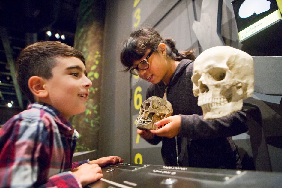 Autumn Break! Skeletons, Skulls and Mysteries