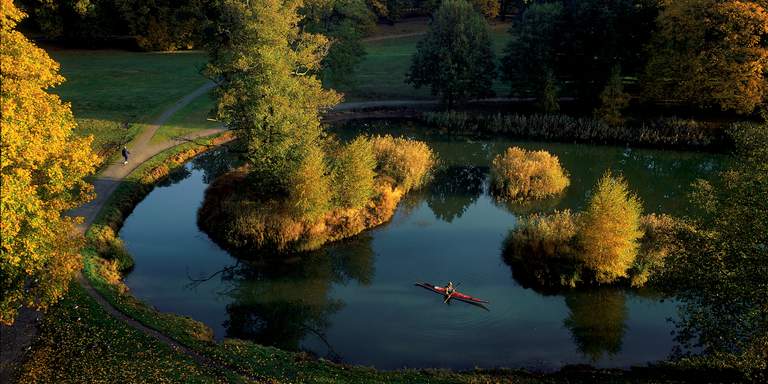 Birds-eye view of fall in The Royal National City Park in Stockholm. A man is walking his dog around, a pond surrounded by yellowing tree leaves. The park abuts the adjoining forests around the city, ensuring an exceptional wealth of species. You can encounter deer and hares, even foxes and moose, and spot rare birds, butterflies, and insects, right inside the city.