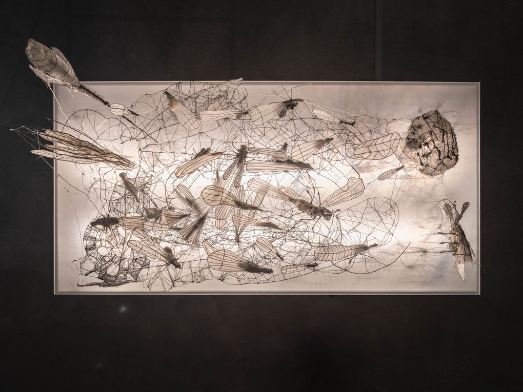 Foto - Jean Baptiste Béranger.jpg