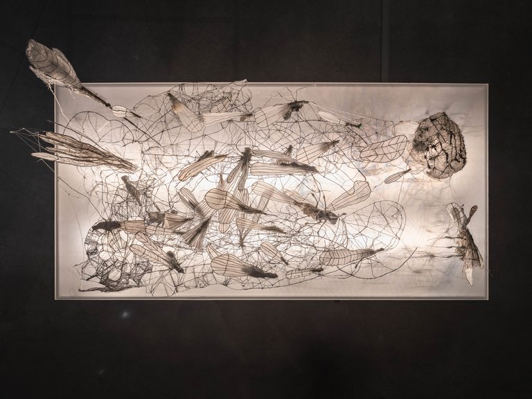 Foto - Jean Baptiste Béranger.jpg