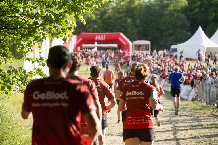 Blodomloppet Stockholm 2025