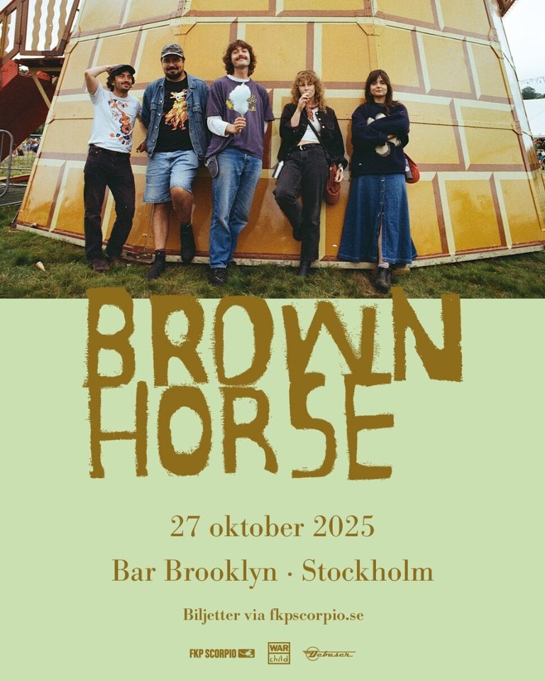 Brown horse stockholm.jpeg