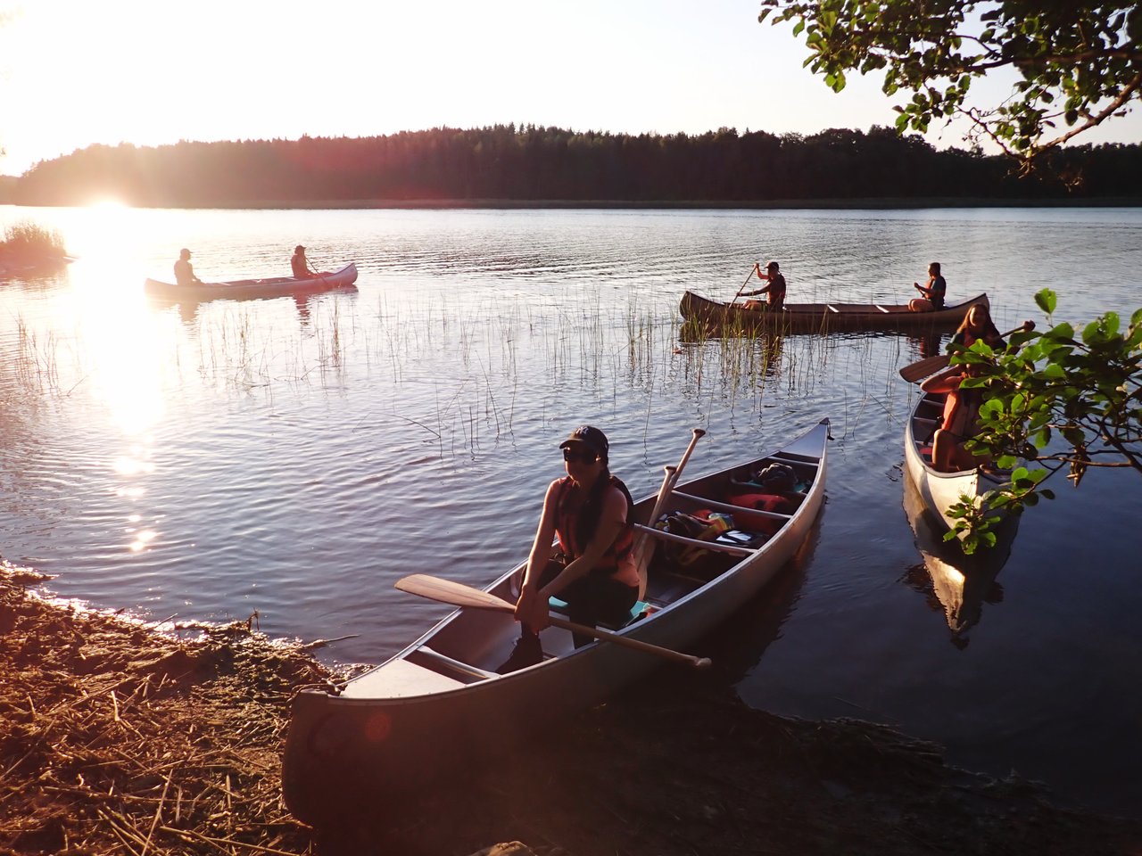 Canoe Beaver Safari in the Stockholm Archipelago