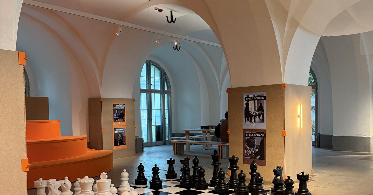 Chess and strategies
