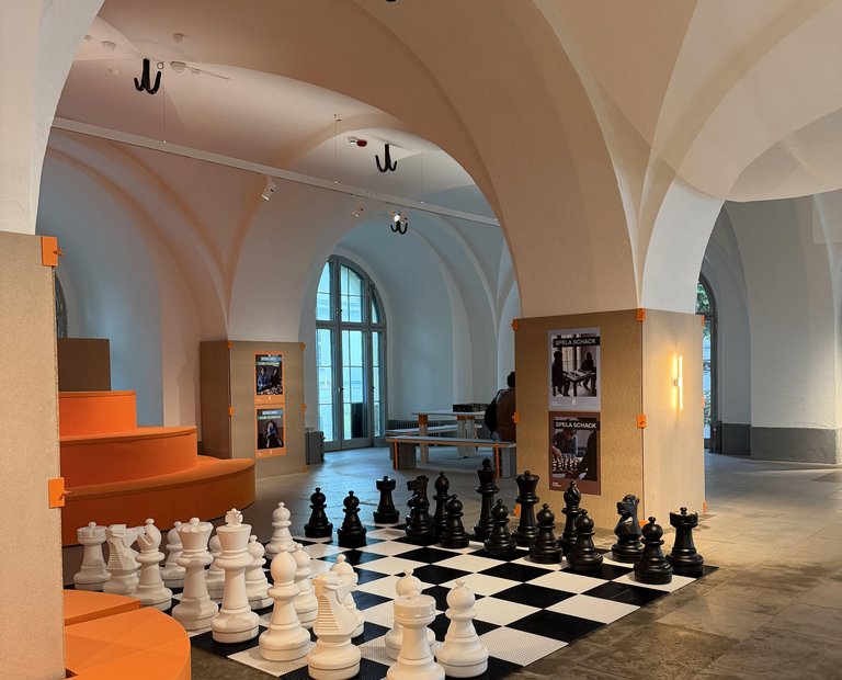 Chess and strategies