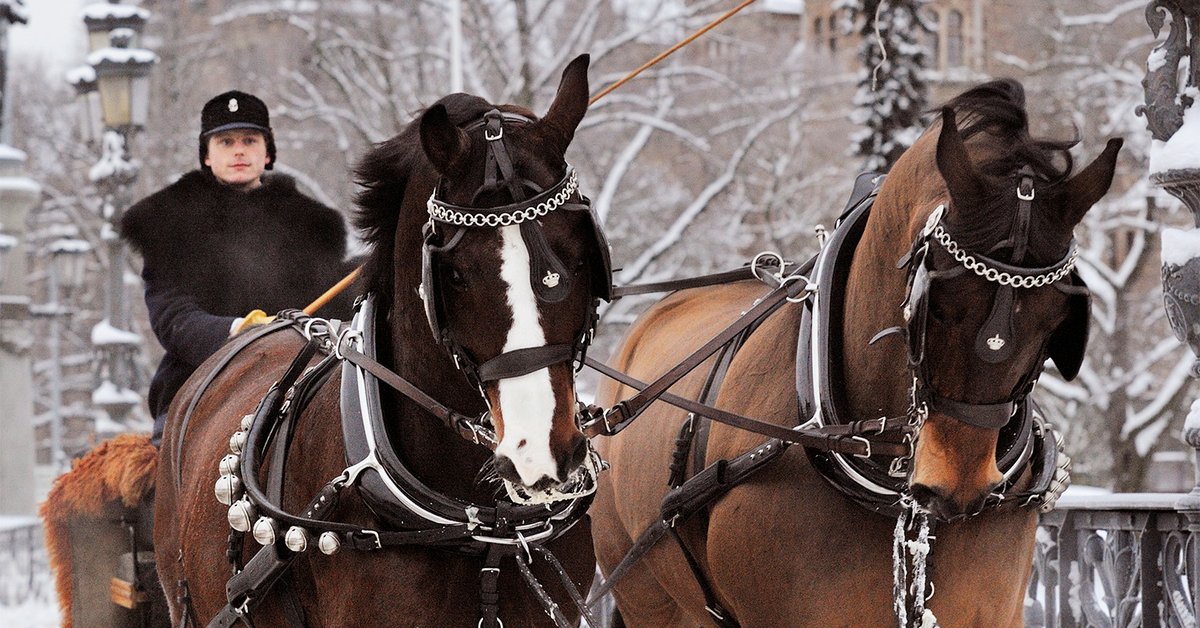 Christmas market at the Royal Stables 2026