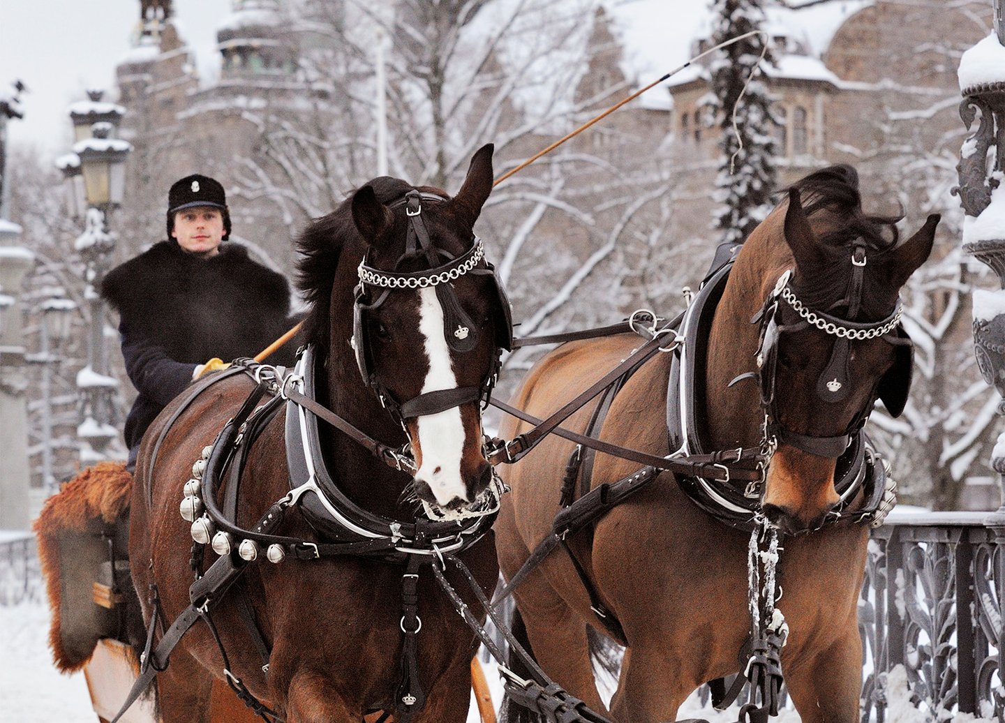 Christmas market at the Royal Stables 2026