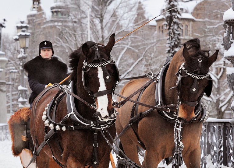 Foto Charlotte Gawell Kungl. Hovstaterna.jpg