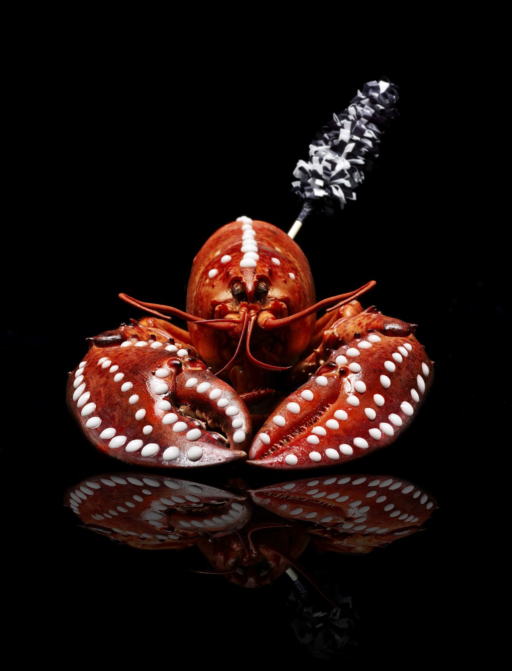 boiled lobster