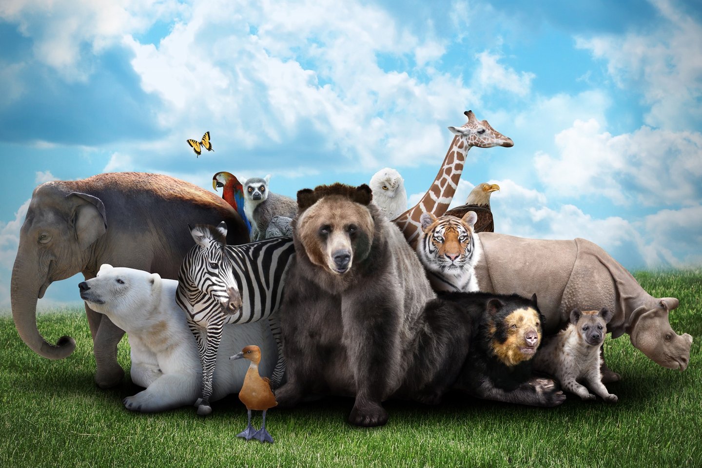 Cosmonova: Animal Kingdom
