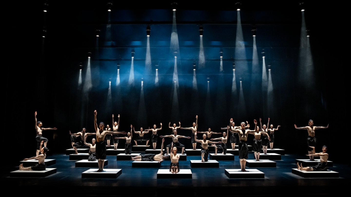 Dance: Chamber/Cacti