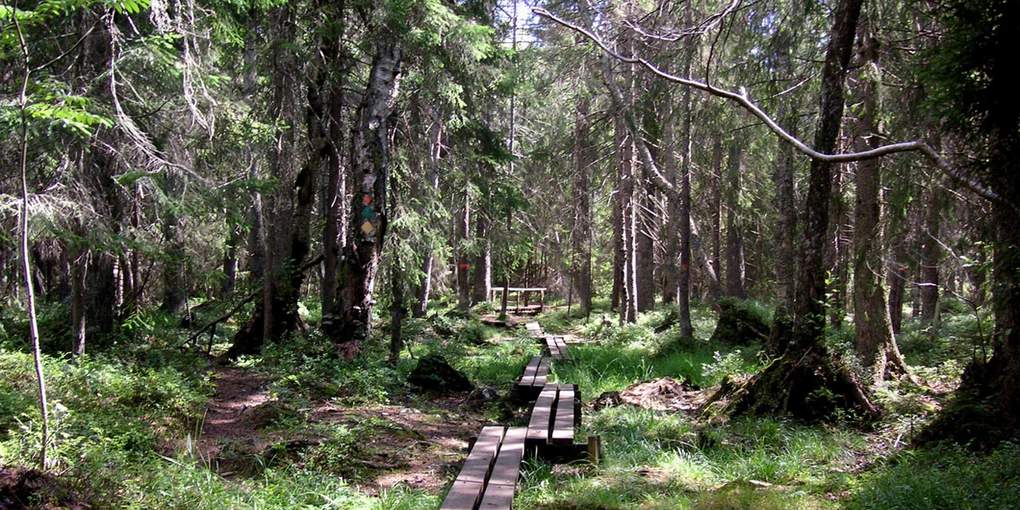 Paradiset nature reserve