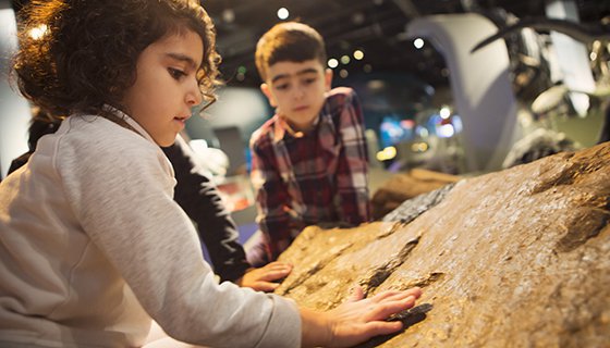 Children touching petrified dinosaur tracks