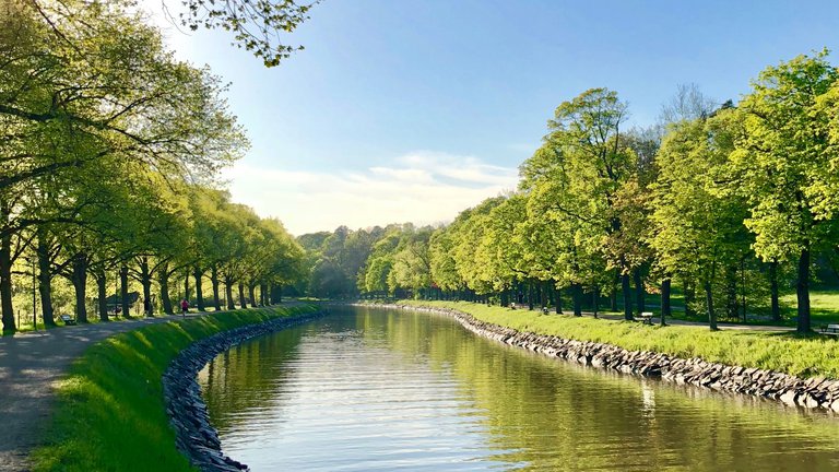 Parks in Stockholm. Djurgården on a summer day.
