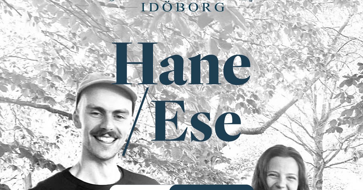 The Hans/Ese Duo Live on Idöborg