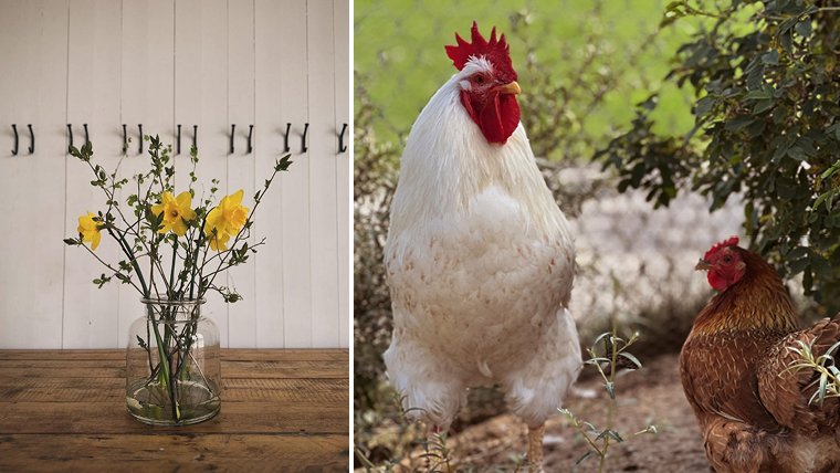 EASTER HOLIDAY AT THE FARM