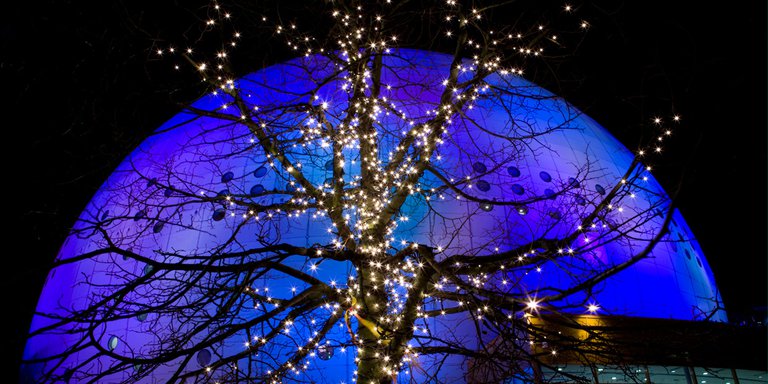 Christmas lights in Stockholm. A tree is decorated with bright lights. The Ericsson Globe, lit up with blue and purple searchlights, can be seen in the background.