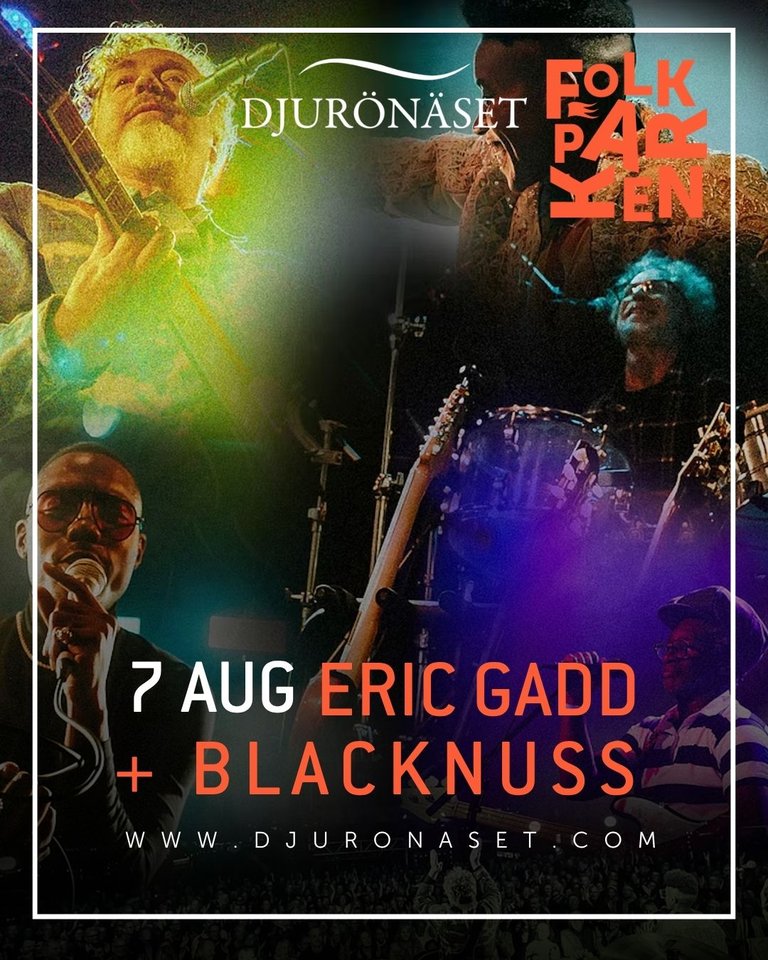 Eric Gadd och Blacknuss in Folkparken