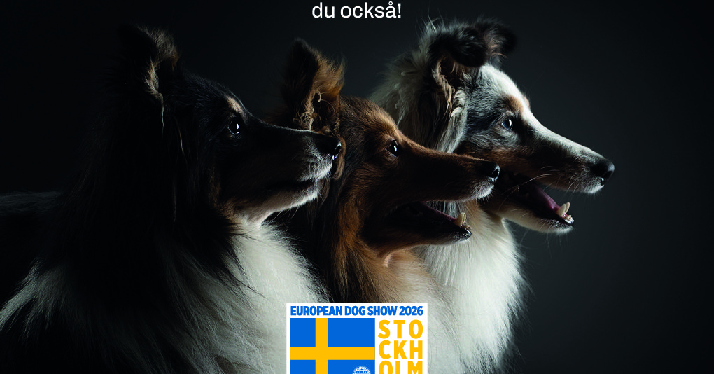 European Dog Show 2026