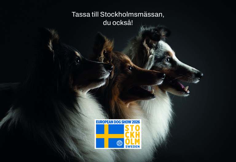 European Dog Show 2026
