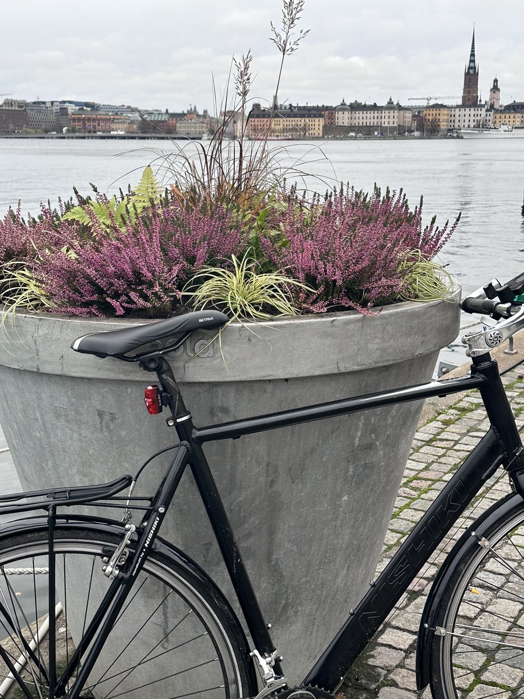 Experience Stockholm with a Guide on a Bike
