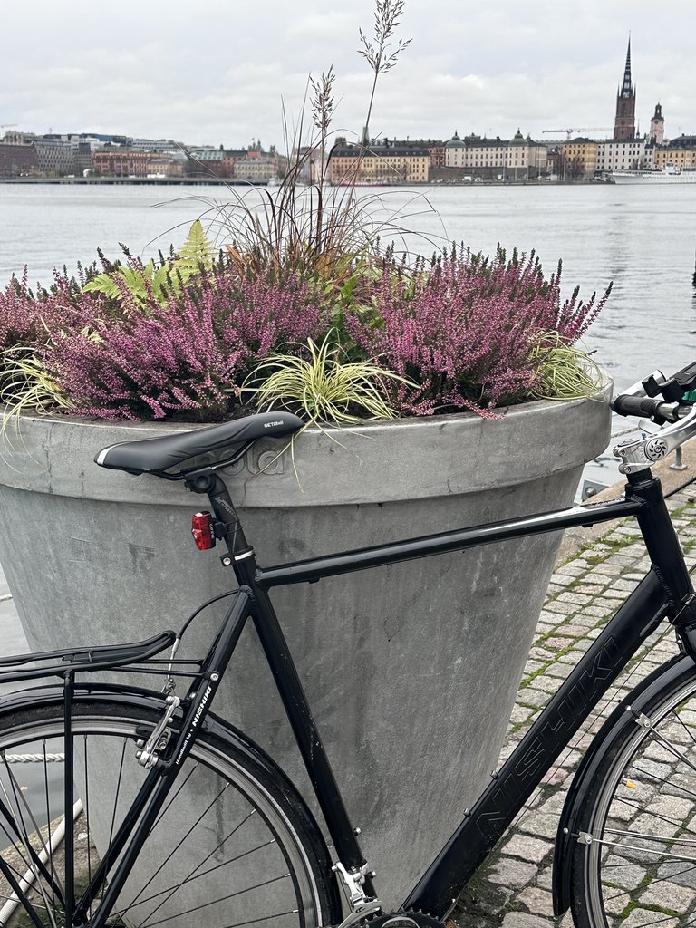 Experience Stockholm with a Guide on a Bike