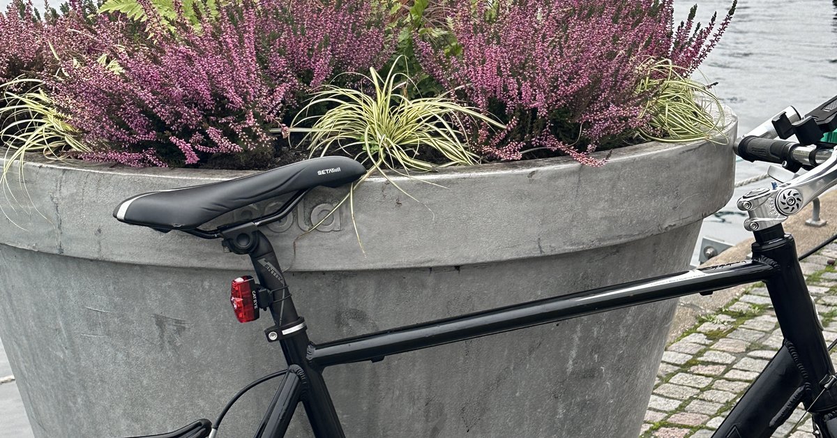 Daily Stockholm bike tour