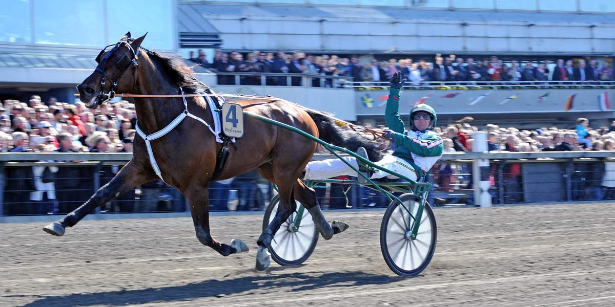 Solvalla Visit Stockholm