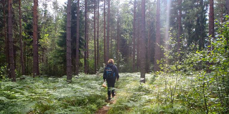 A woman walking along Sörmlandsleden hiking trail in Sweden.