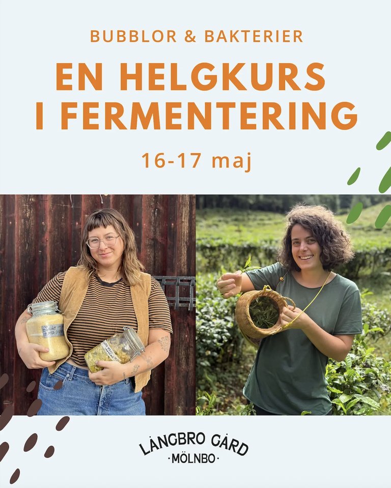 Screenshot 2026-04-08 at 10.22.21.png