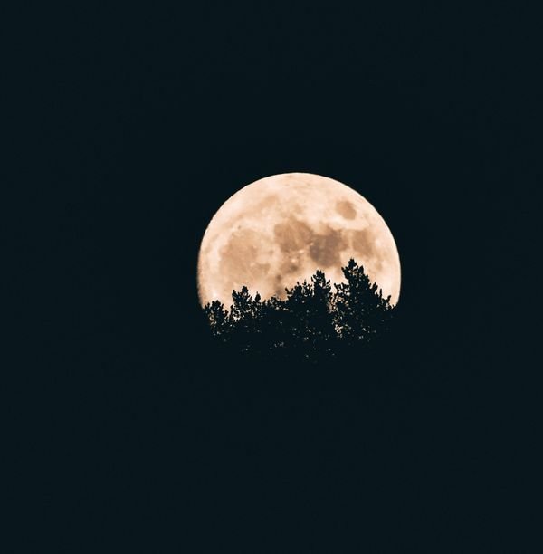 Full Moon Walk – Land in the Present