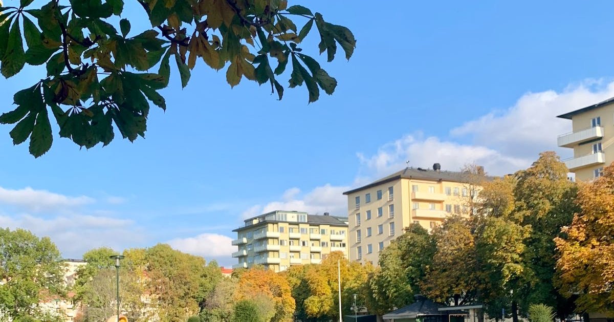 Gärdet - in the Era of Functionalism