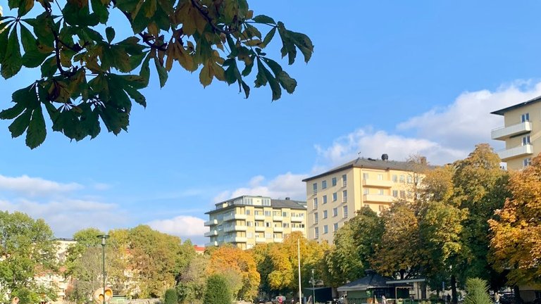 Eventbild Gärdet - i funktionalismens tidevarv