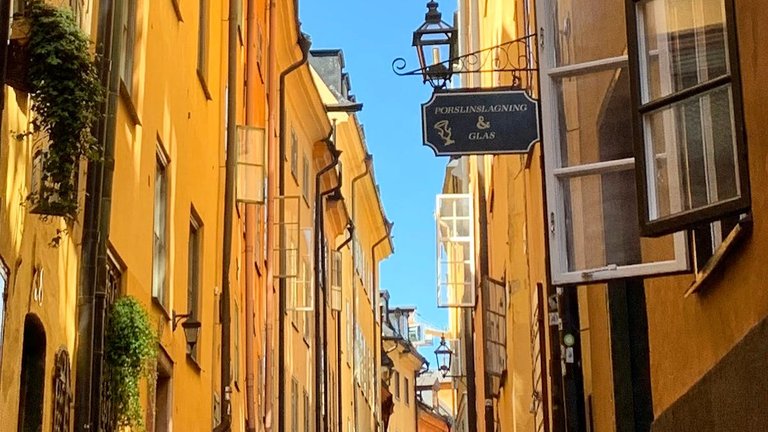 Eventbild Stadsvandring - Medeltidens Stockholm