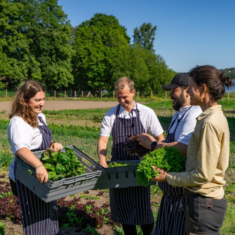 Harvest Day's at Sturehof