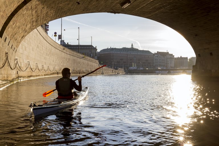 Kayaking in Stockholm