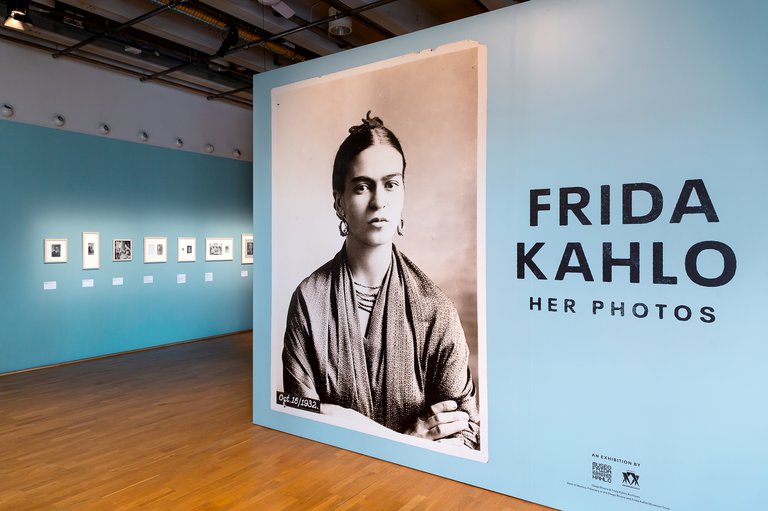 Photos on the walls of an exhibition hall.