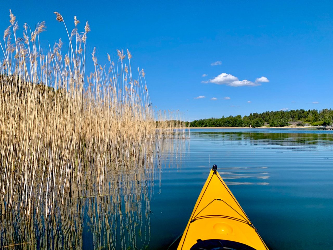 Kayak & Camping Adventure in the Stockholm Archipelago