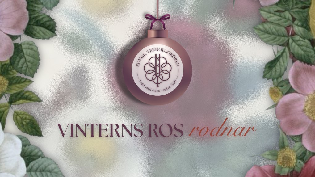 Vinters ros rodnar - banner julkonsert HT25.png