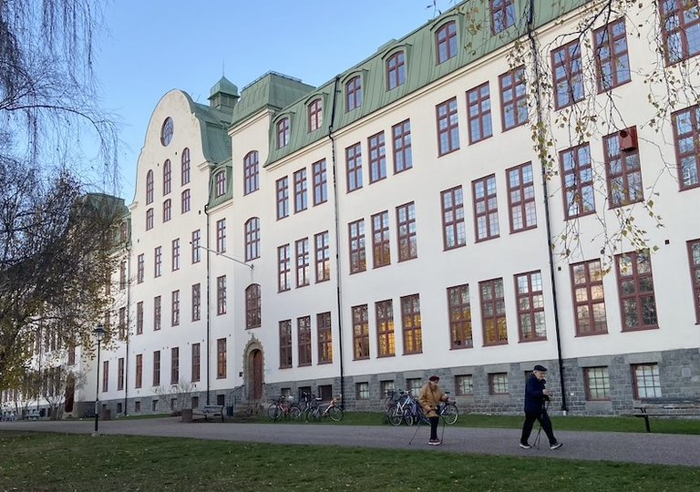 Långbro Stora Mans 72 dpi.jpg