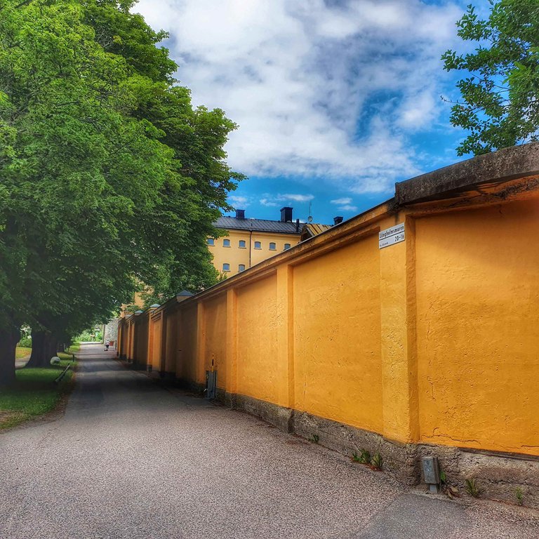 house, trees and orange wall