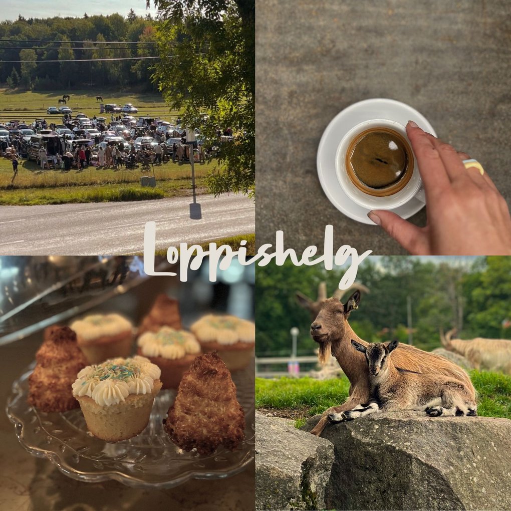 Looking for flea markets at the countryside?