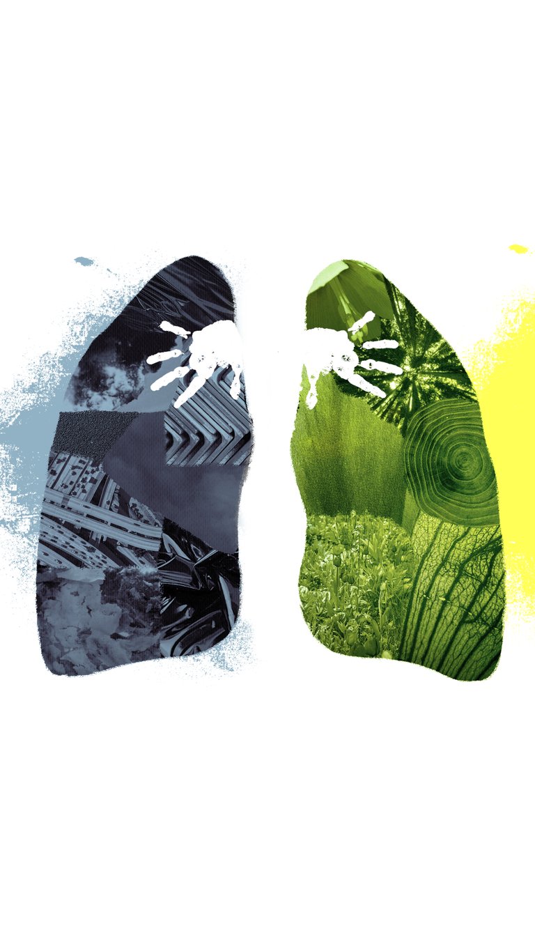 Lungs_portrait (1).png
