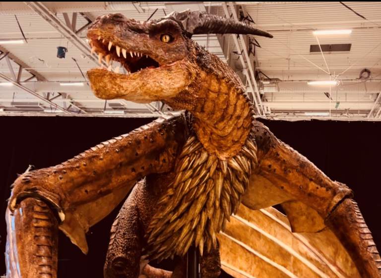 Dragons in fantasy and culture