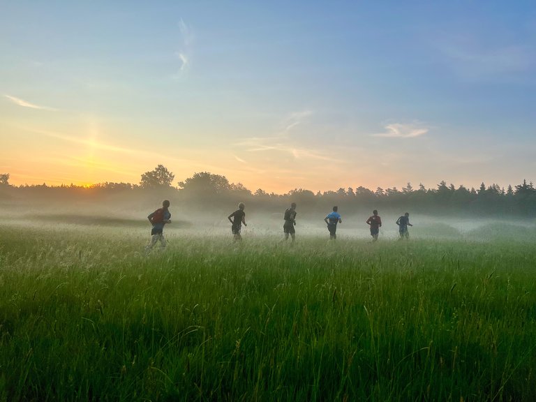 Midsummer Night Trail 2025