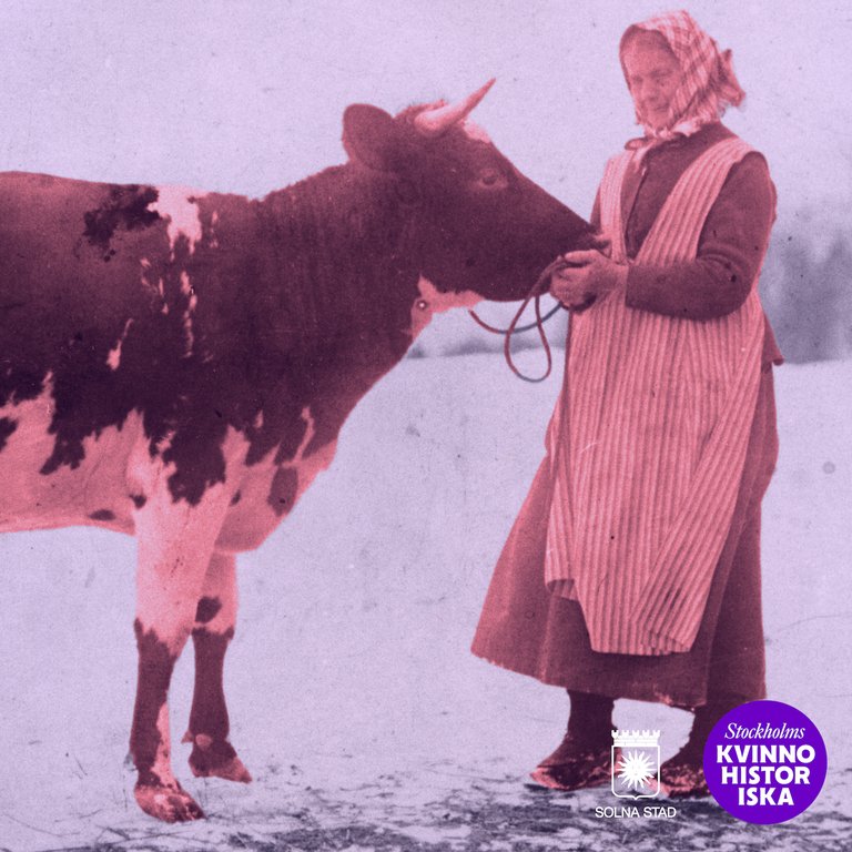 Milk, power and resistance – a women’s history tour at Överjärva Gård