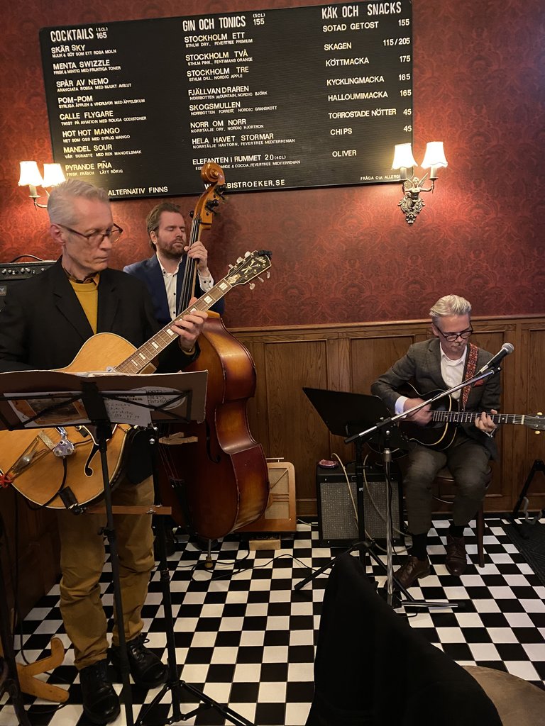 Moonbeam Serenaders Jazz trio at Bistro Eker!