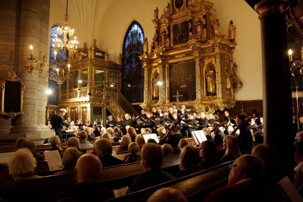 Menschenmenge Konzert mit Orchester.jpg