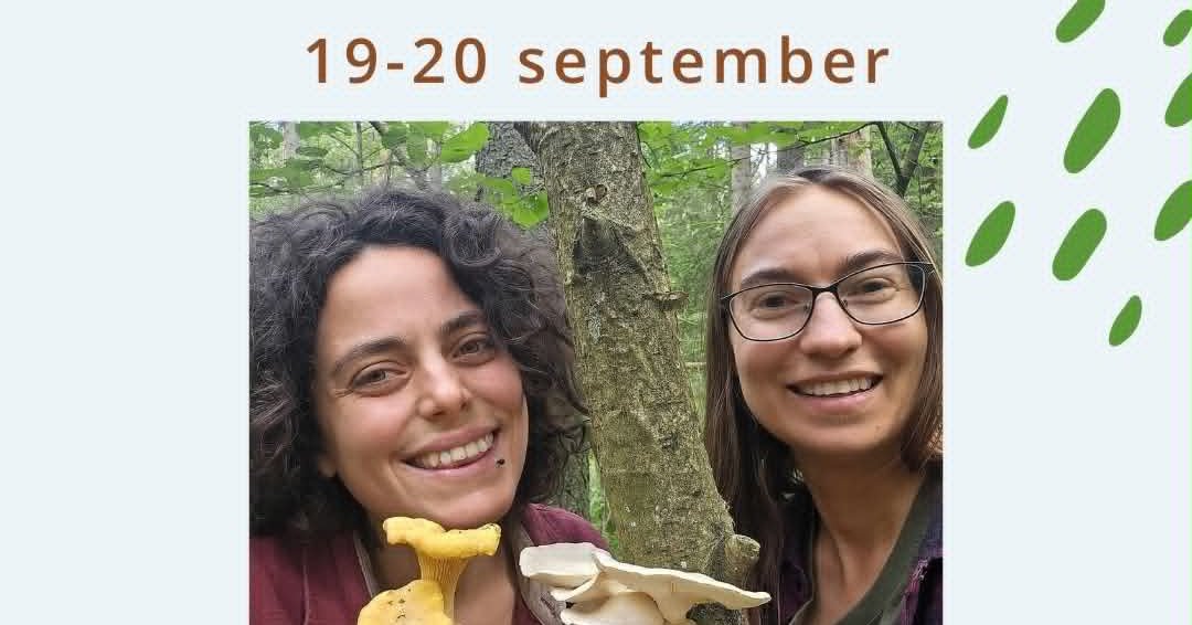 Mushroom Foraging Weekend at Långbro gård – Mölnbo